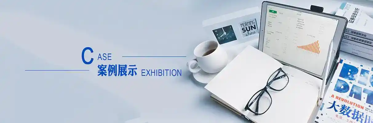 任丘市软件开发